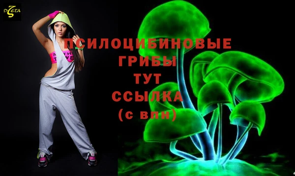 ALPHA-PVP Нягань
