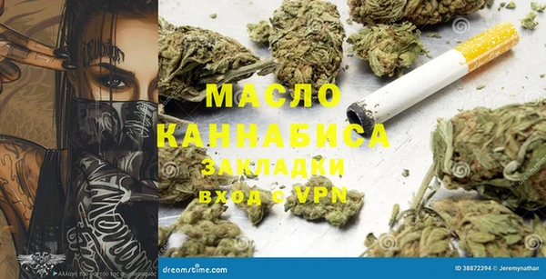 твердый Няндома