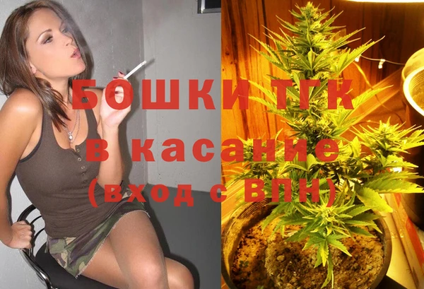твердый Няндома